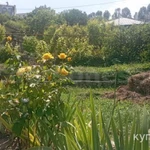 Фото №7 Лот  73919 Участок 8,5 соток . Ведение садоводства 13.