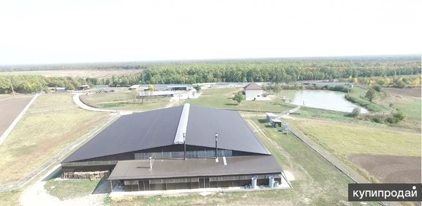 Фото Фермерское хозяйство 185 Га