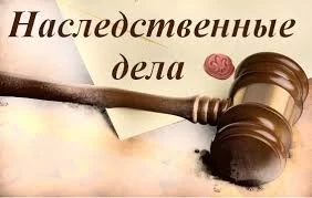 Фото Юрист по наследственным делам