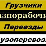 Грузчики/Разнорабочие