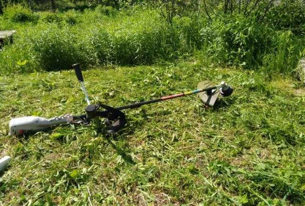 Фото Оказываю услуги по покосу травы