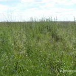 Фото №6 Ферма продаю участок 887 соток Тверская область