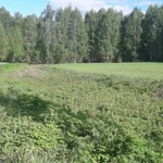 Фото №5 Продажа Участка с/х назначения, Нижегородская область, Сокольский р-н