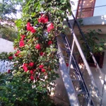 Фото №12 Коттедж 72 м2