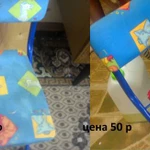 Фото №2 Химчистка у вас дома