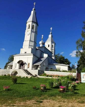 Фото Земельные участки д. Трутнево