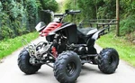 фото Квадроцикл - 250cc raptor quad