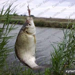 Фото №2 Участок 14 сот. на Азовском море дешево