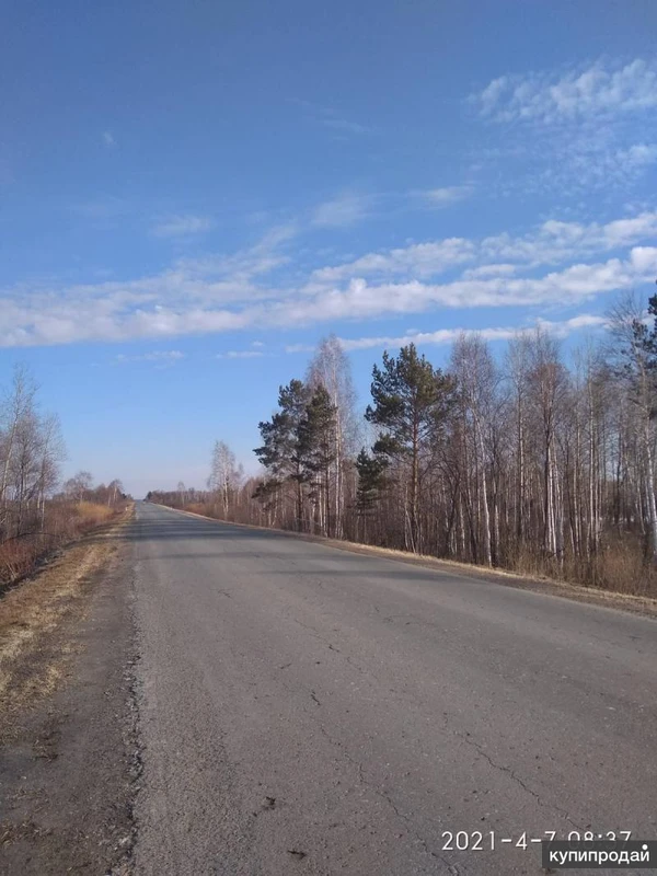 Фото Продам 10 гектар сельхоз.земля