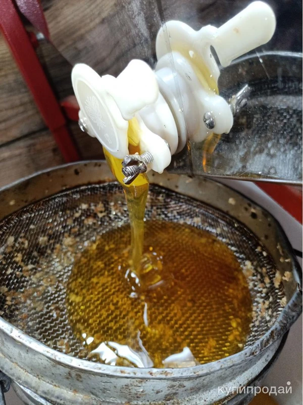 Фото Продам мёд
