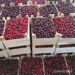 Фото №3 Продаётся Готовый бизнес производства сухофруктов.