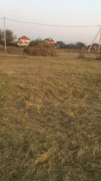 Фото Покос травы