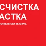 Расчистка участка от кустов и деревьев под строительство. 