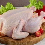 Мясо домашнего цыплёнка бройлера