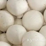 фото Грибы шампиньоны свежие