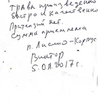 Фото №11 Расчистка уборка и покос травы на участках