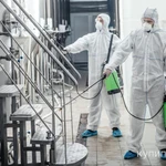 Фото №4 ОБРАБОТКА ОТ КОМАРОВ,КЛОПОВ И КЛЕЩЕЙ,ТАРАКАНОВ