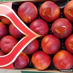 Фото №9 Продаем нектарин