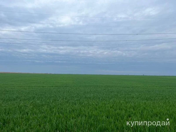 Земельный участок 67 Га