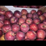 Фото №3 Яблоки оптом с доставкой