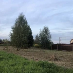 Фото №2 Покос травы благоустройство