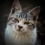 Фото №7 Ремонт стиральных машин на дому