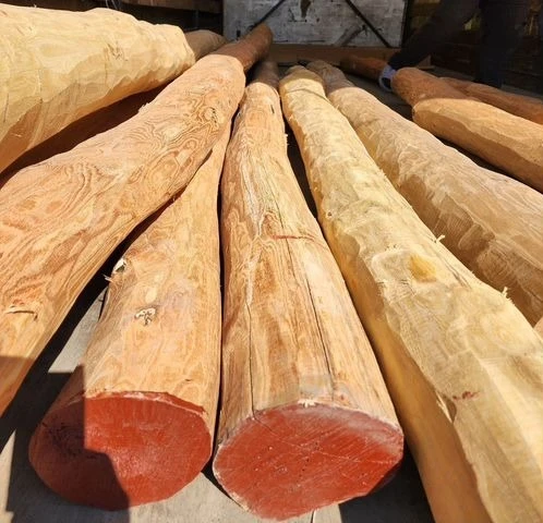 Фото Акация Робиния бревна окоренные от производителя.