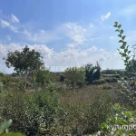 Фото №6 Вашему вниманию предлагается участок 4 сотки в морском районе на Северной