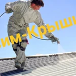 Фото №2 Покраска крыши дома в Видном
