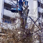 Фото №3 Спил и обрезка деревьев в Чалтыре