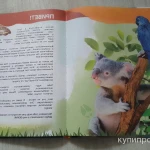 Фото №4 Книжка 4D