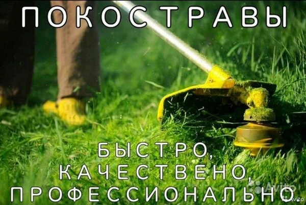 Фото ПОКОС ТРАВЫ В РОСТОВЕ 