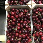 Фото №9 Продаем черешню