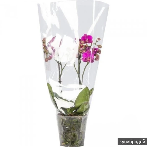 Фото Полипропиленовые пакеты, оптом от 3000 шт. напрямую от производителя.