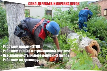 Фото Спил деревьев, обрезка веток, вывоз спила