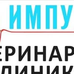 Ветеринарная клиника Импульс