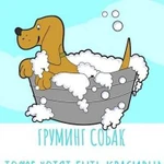 Груминг собак