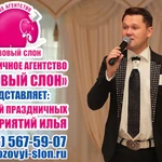 Фото №2 Ведущий на свадьбу в Солнечногорске.