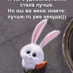 Услуги