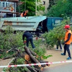 Спил деревьев, обрезка, автовышка