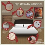 Фото №2 Дезинсекция.Химчистка.Клининг. Служба №1 "ДезЭкоДом"