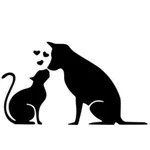 Стерилизация кошек и собак