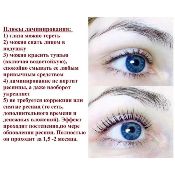 Фото Ламинирования ресниц и бровей