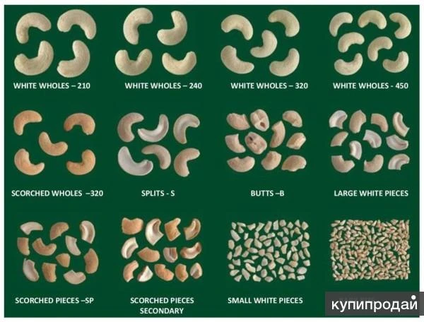 Фото Кешью на экспорт из Вьетнама