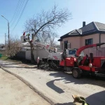 Фото №3 Спил деревьев измельчитель веток 