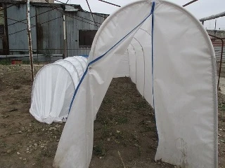 Фото Парники 
