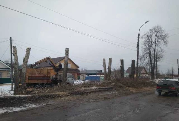 Фото Спил деревьев, кронирование, покос травы
