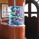 Фото №3 Аквариум из оргстекла