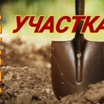 Фото №8 Спил деревьев расчистка участков, покос травы.