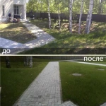 Фото №7 Газон посевной и рулонный